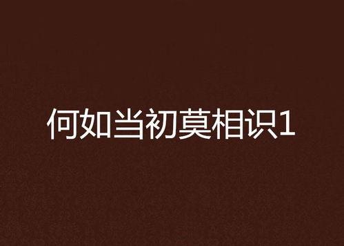 何如当初莫相识,回首当初,若不相识,是否一切皆可不同