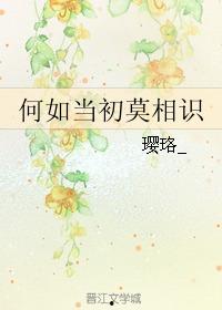 何如当初莫相识,回首当初,若不相识,是否一切皆可不同