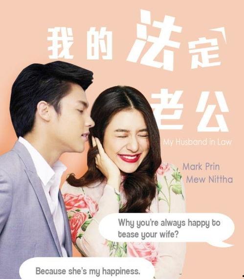 我的法定老公 国语版,揭秘婚姻法下的爱情与责任