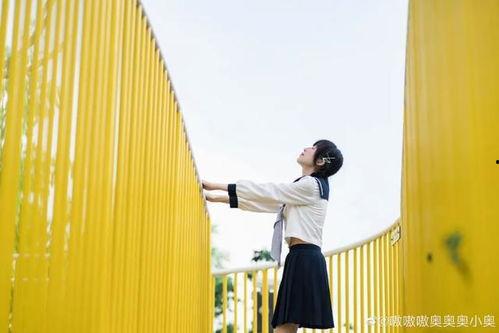 拍得不错,拍得不错的摄影佳作赏析