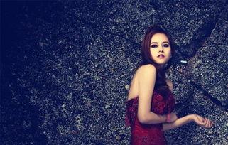 拍得不错,拍得不错的摄影佳作赏析