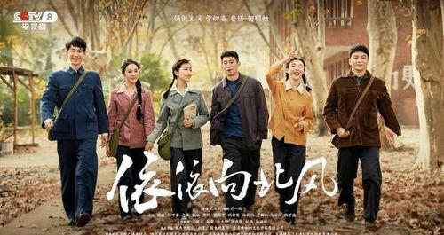 依依向北风,追寻自由的旅程