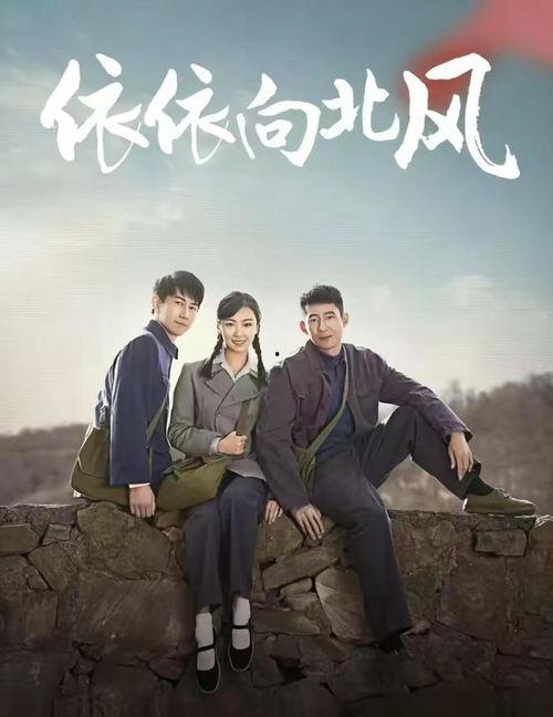 依依向北风,追寻自由的旅程