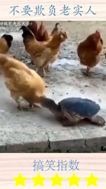 不要欺负老实人（我不是好欺负的）,勇敢拒绝欺凌，捍卫老实人的尊严